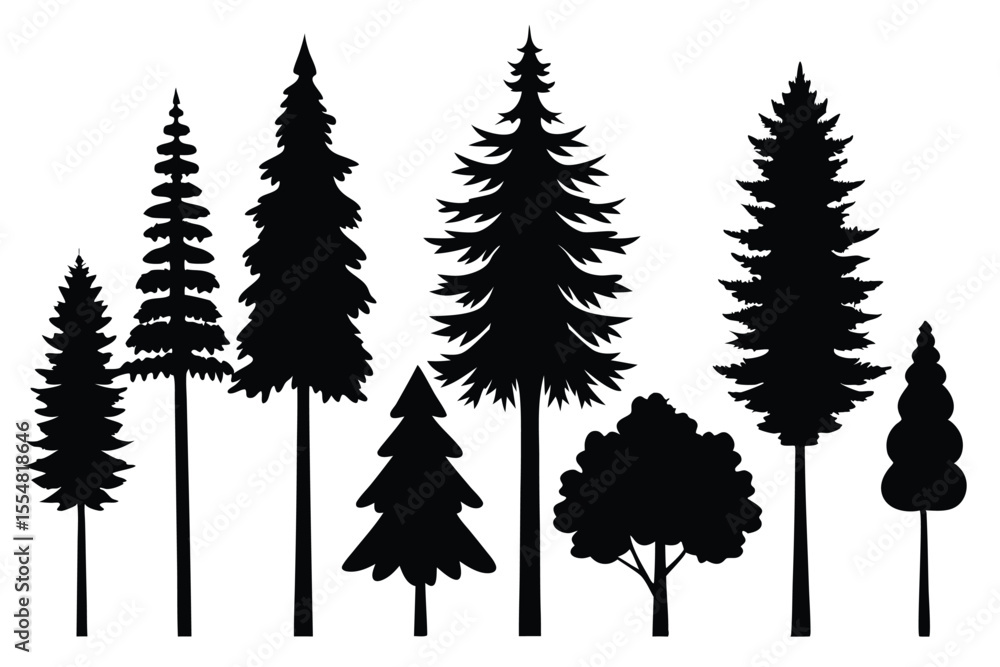 Fototapeta premium Silhouettes of evergreen trees in a forest&nbsp;setting