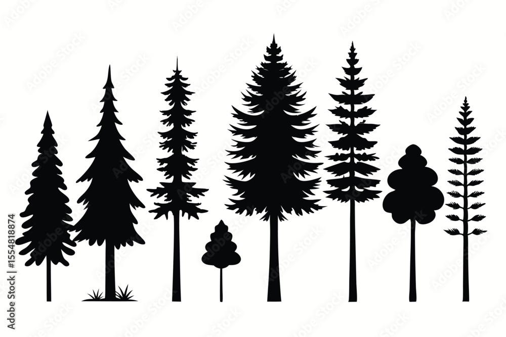 Obraz premium Silhouettes of evergreen trees in a forest&nbsp;setting