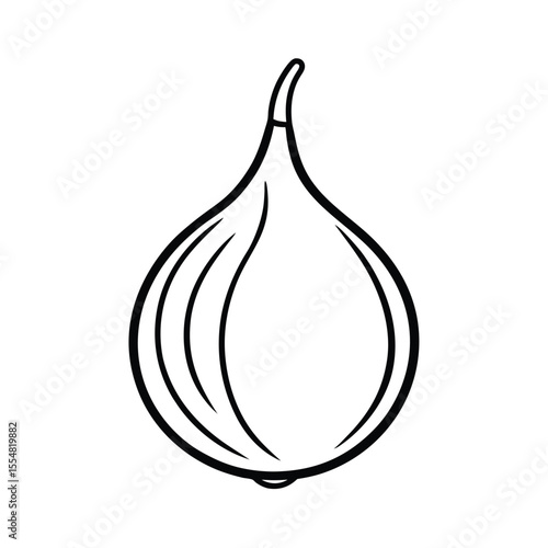salak fruit vector illustration