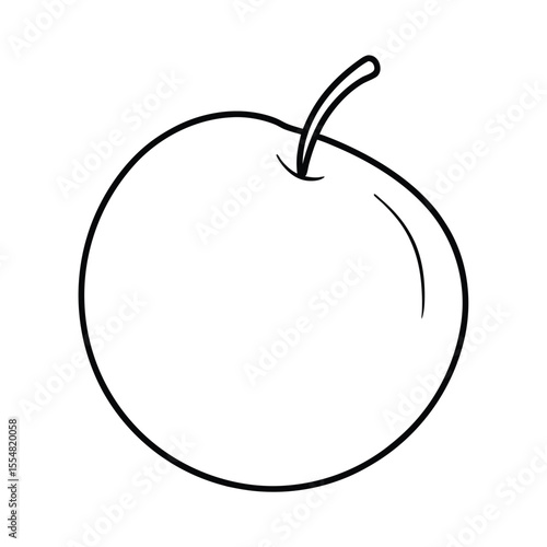 sapodilla fruit vector illustration