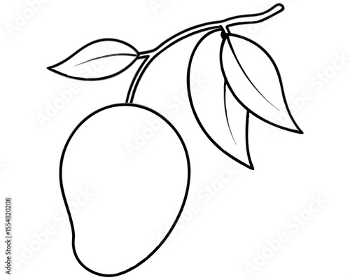 pear  mango fruit vector illustration