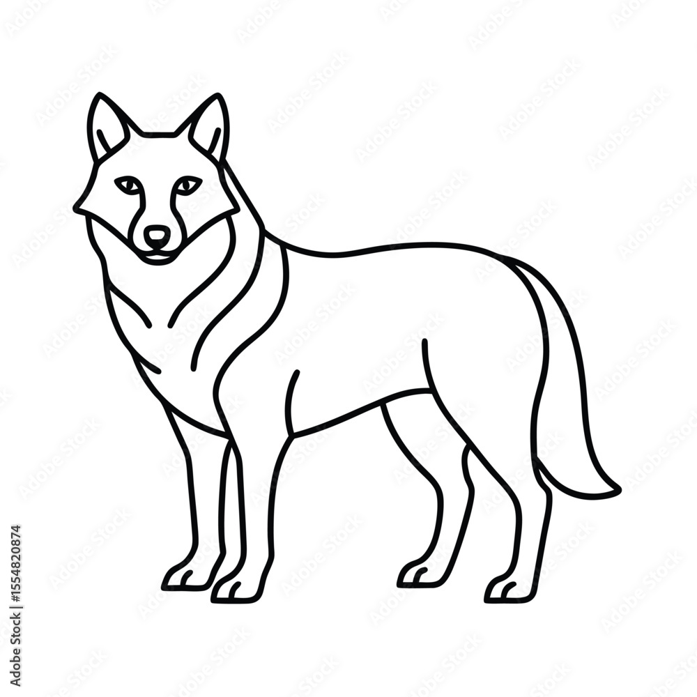 Obraz premium wolf animal vector illustration
