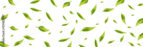 Green leaves flying on a long white banner. Falling leaves. Wavy foliage ornament. Vegan, eco, organic design element. Cosmetic pattern border. Fresh tea background. Beauty products. Vector