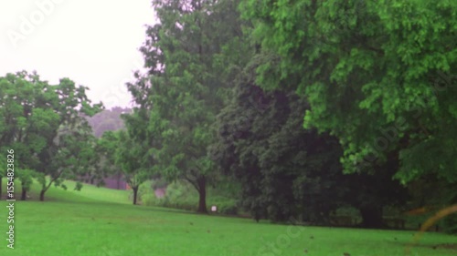 雨の降る緑地公園 （雨音あり）