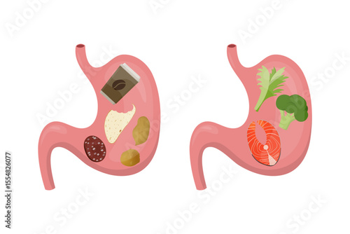 Healthy and unhealthy food showing good and bad nutrition for stomach and gut