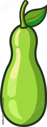 vector illustration of a Bottle gourd 