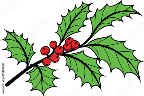 Illustration of a holly branch with red berries and green leaves