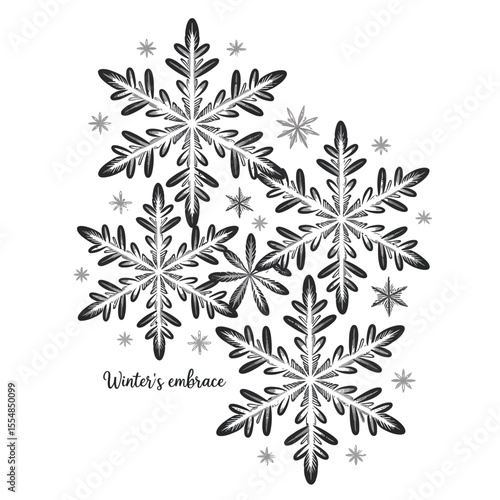 Monochromatic vector illustration of delicate snowflakes clustered with unique crystalline patterns and six-sided symmetry