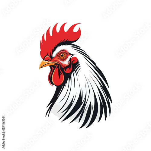 rooster isolated on white background