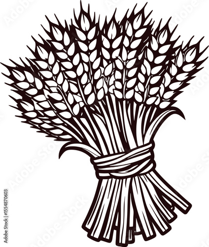 Detailed vintage illustration of a hand tied bundle of wheat stalks, isolated on white background, agricultural harvest concept
