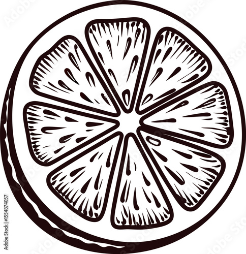 Hand drawn citrus slice illustration monochrome sketch of fruit cross section with detailed lines and natural texture