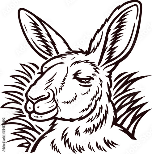Hand drawn kangaroo head in grass with vintage line art illustration isolated on white background