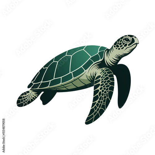illustration of a sea turtle in a clean, minimalist clipart style