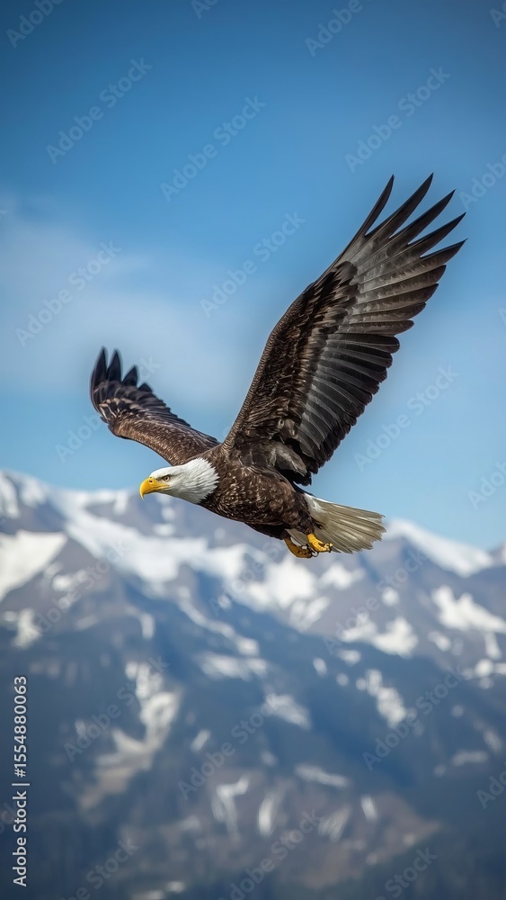 Obraz premium eagle in flight