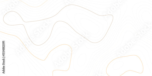 White wave paper curved reliefs abstract background, Topography map background, Abstract topographic contours map background. Vector geographic contour map