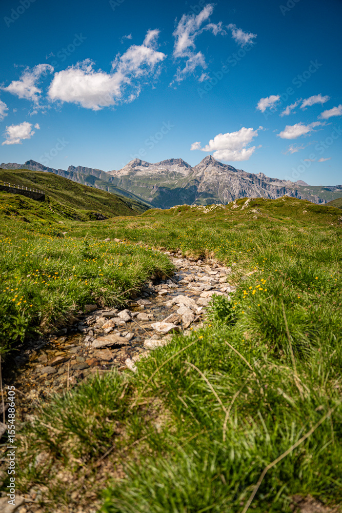 Fototapeta premium Alpine Wildflowers in Bloom along Splugen Pass Trail: Scenic View of Pizzo Tambo and Surettahorn Peaks Framed by Verdant Valleys and Clear Blue Sky