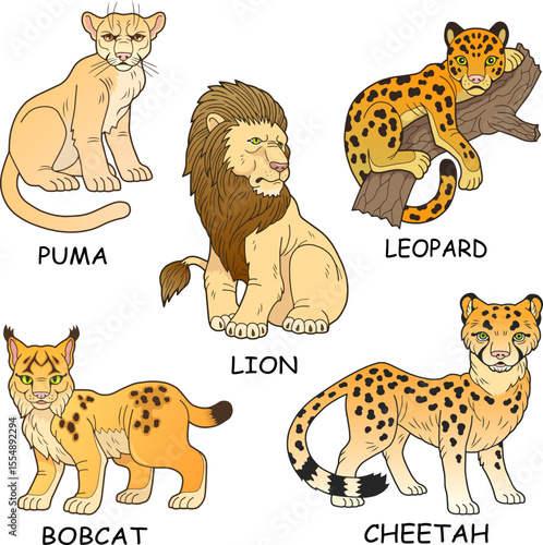 wild cats vector images set