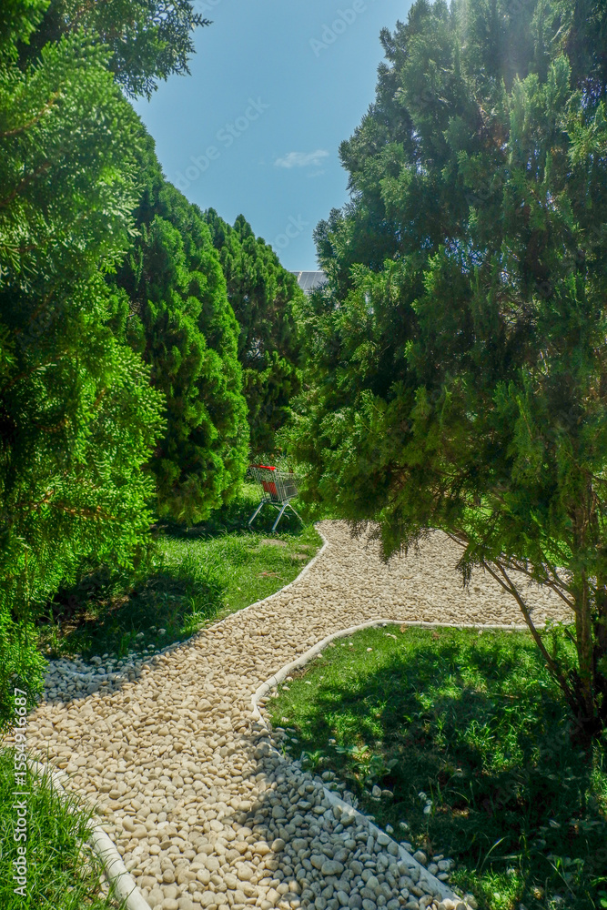 Obraz premium Garden landscape design with pathway in garden and footpath in picturesque summer park and staircase in backyard,Paving stones on floor in park,space for text.