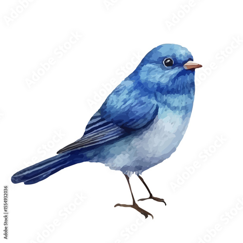 Cute bluebird vector illustration in watercolor style. A small, vibrant blue bird.