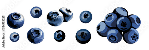 Set of various blueberries, vector illustration on transparent background