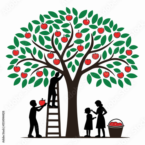 Silhouette of people picking fruit from a tree, vector illustration on a white background