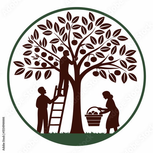 Silhouette of people picking fruit from a tree, vector illustration on a white background