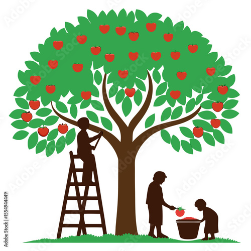 Silhouette of people picking fruit from a tree, vector illustration on a white background
