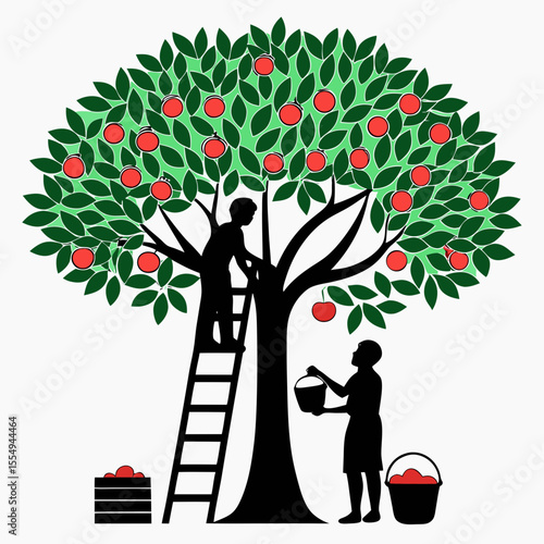Silhouette of people picking fruit from a tree, vector illustration on a white background