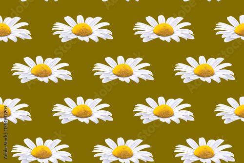 Seamless repeating pattern, white daisy flowers on golden background, perfect for backgrounds, textiles, paper. Seamless floral pattern. Vector illustration.