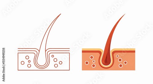This high-quality vector graphic features two minimalist orange hair follicle icons (outline and solid), showing a hair strand in skin with dots, emphasizing dermatology and fine details.