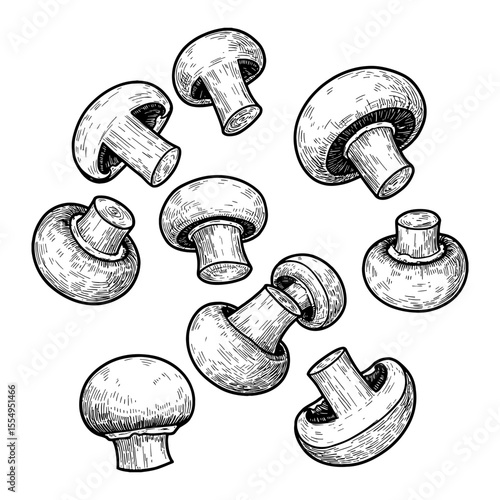 Multiple Button Mushrooms Falling or Floating in a Detailed Black and White Outline Line Art Drawing