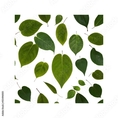 Seamless Pattern of Green Leaves on Transparent Background - Nature Texture