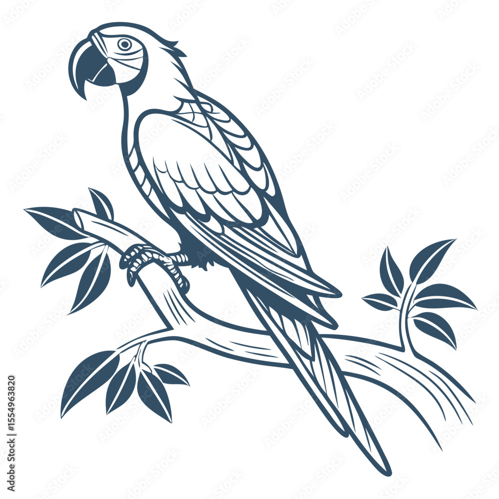 Parrot isolated animal silhouette Parrot isolated animal silhouette