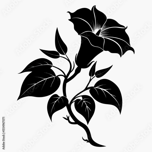 black and white flower