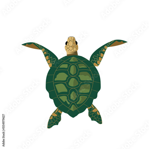 Top View Green Sea Turtle Vector  Tortuga Marina Marine Life Illustration Detailed Shell Pattern and Ocean Wildlife Seen From Above