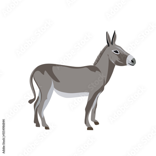 Grey Donky Vector Illustration Farm Animal Cartoon Style Side View