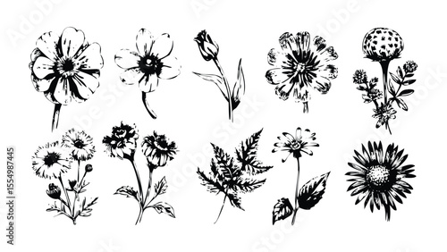 Wildflowers Icon Pack in Stipple Ink Style. Black and White Vector Collection of Meadow Flowers. Vintage Botanical Illustration Set