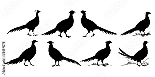 Silhouette illustration of pheasant birds