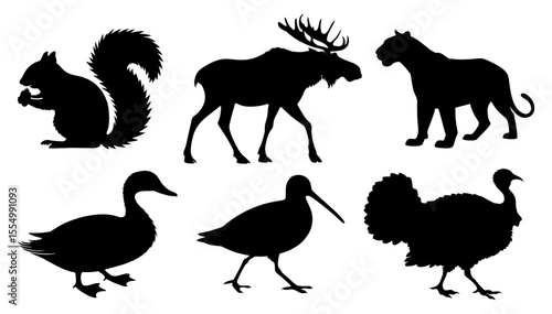 Silhouettes of various animals in black