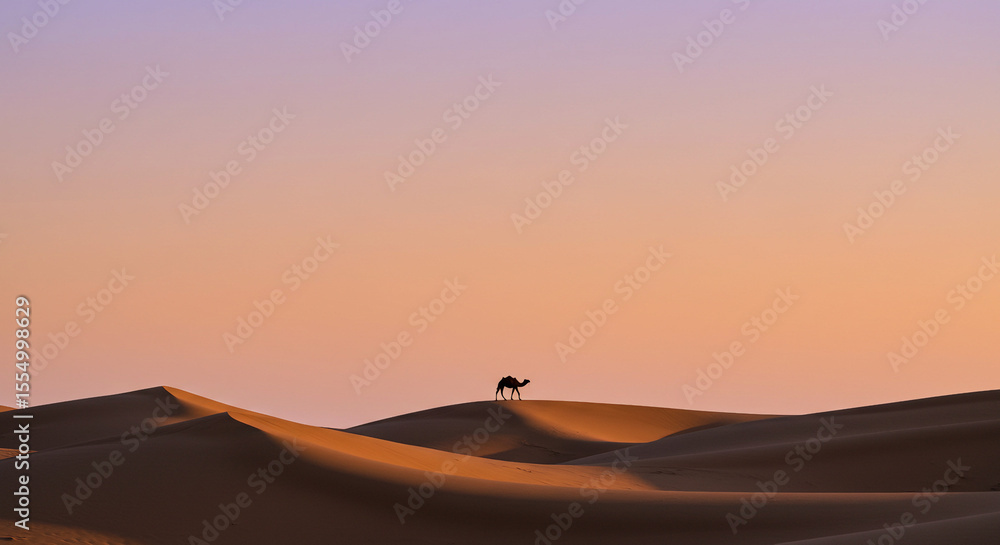 Fototapeta premium sunset in the desert