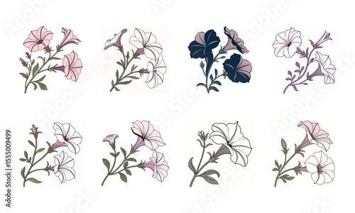 Fotografie Elegant bundle of eight beautifully illustrated petunia flower sprigs in various
