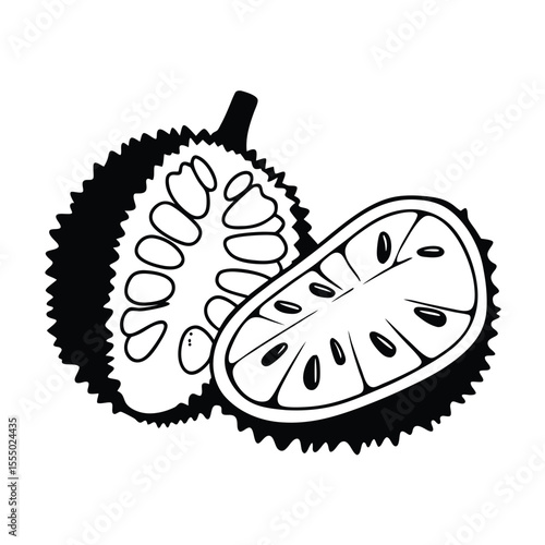 Jackfruit illustration in black and white with cross section and seeds displayed