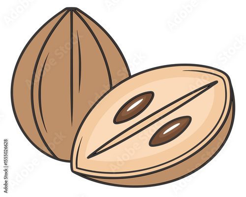 Sapodilla fruit illustration with cut half revealing seeds on white background