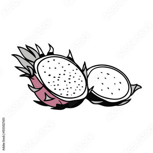 Sliced dragon fruit vector illustration exotic tropical fruit graphic