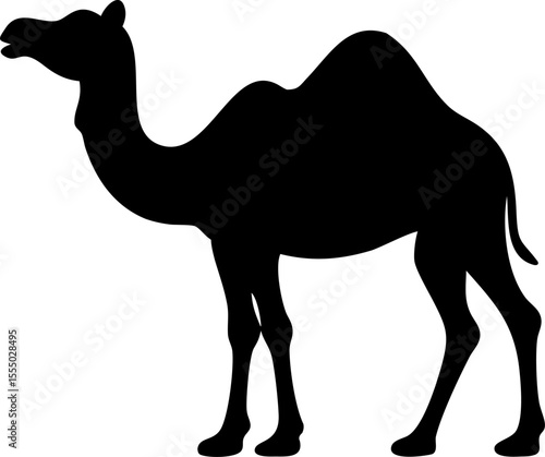 Desert and beach camels: wild dromedary and Bactrian mammals in nature, isolated or cartoon illustrations, travel the Sahara dunes