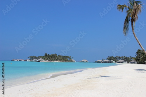 Resort in a tropical beach in Maldives with palm and shoreline