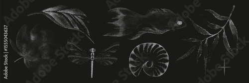 Grunge vintage collection of photocopy halftone elements in Y2K aesthetic.graphic tattoo.Gothic punk poster.Trendy elements with retro effect.