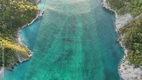 Isla tortuga