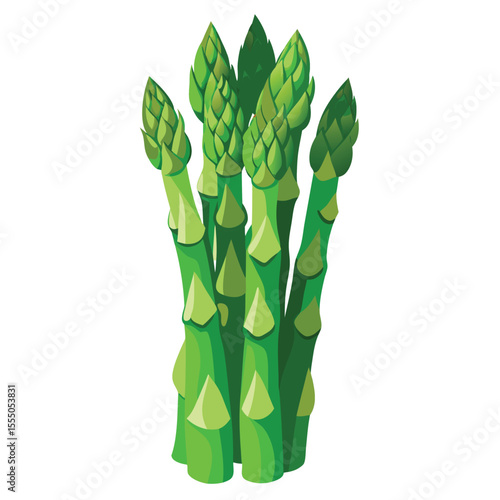 asparagus vegetable  isolated  on white background