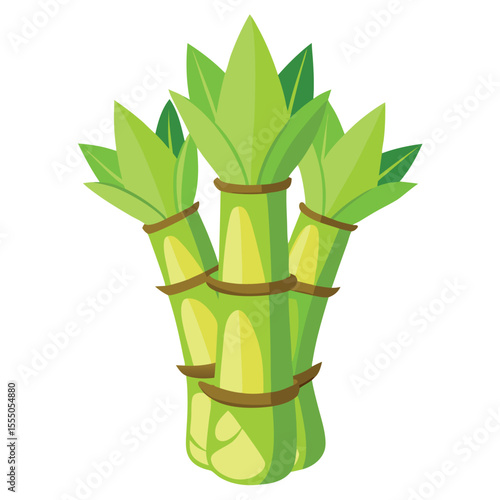 bamboo shoots vegetable isolated  on white background